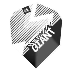 Target set van 3 flights | Vision Ultra | Gabriel Clemens White Std.6